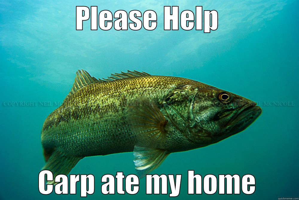 PLEASE HELP CARP ATE MY HOME Misc