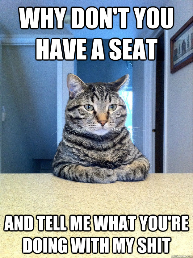 Why don't you have a seat and tell me what you're doing with my shit  Chris Hansen Cat