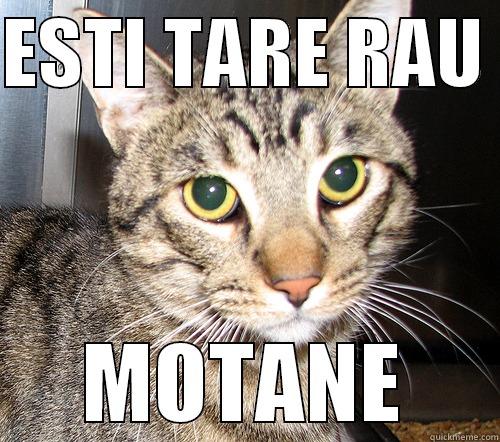 ESTI TARE RAU  MOTANE Misc