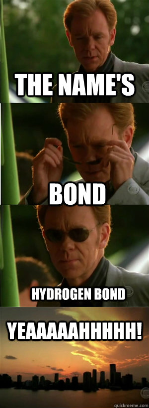 the name's bond hydrogen bond YEAAAAAHHHHH!  CSI Miami Style