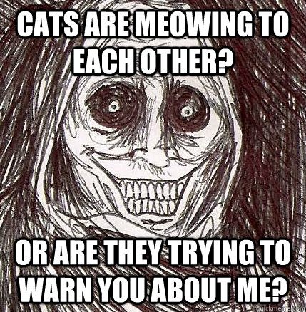 Cats are meowing to each other? Or are they trying to warn you about me?  Horrifying Houseguest