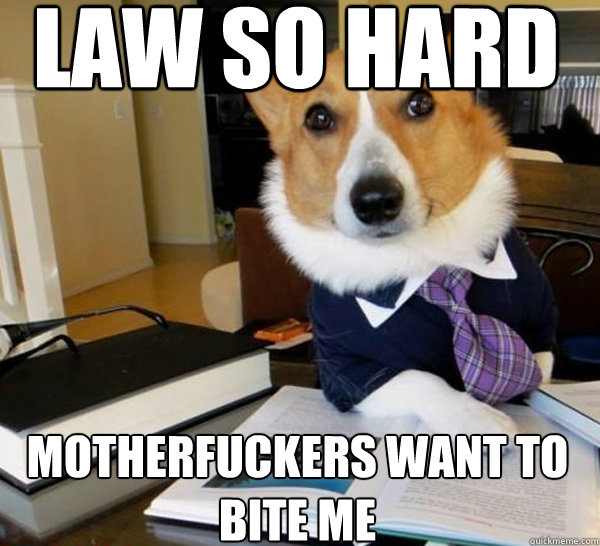 LAW SO HARD Motherfuckers want to 
bite me  Lawyer Dog