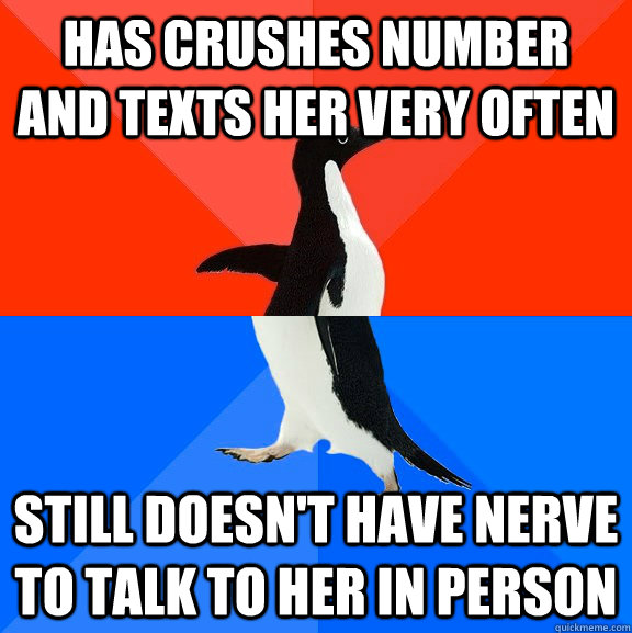 Has crushes number and texts her very often still doesn't have nerve to talk to her in person  Socially Awesome Awkward Penguin