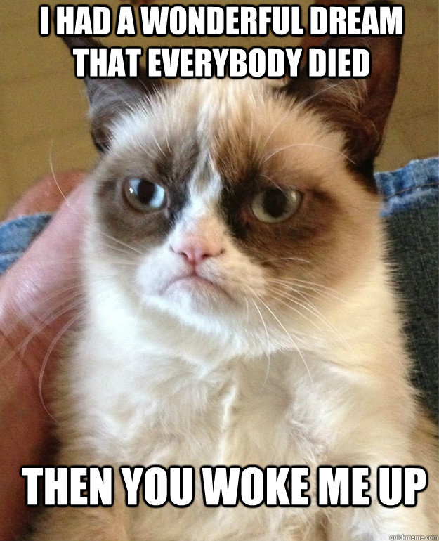 I had a wonderful dream that everybody died then you woke me up  Grumpy Cat