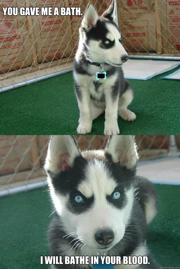 You gave me a bath. I will bathe in your blood. - You gave me a bath. I will bathe in your blood.  Insanity puppy