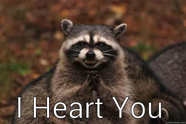  I HEART YOU Evil Plotting Raccoon