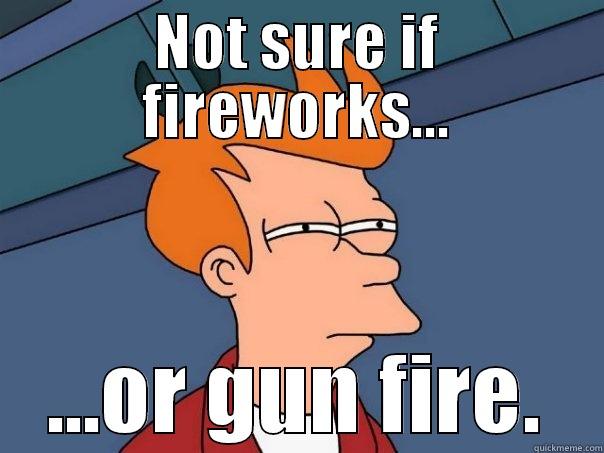 NOT SURE IF FIREWORKS... ...OR GUN FIRE. Futurama Fry