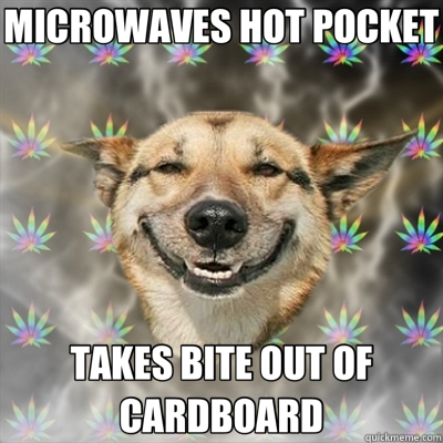 MICROWAVES HOT POCKET TAKES BITE OUT OF CARDBOARD - MICROWAVES HOT POCKET TAKES BITE OUT OF CARDBOARD  Stoner Dog