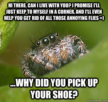 Hi there. can i live with you? I promise I'll just keep to myself in a corner, and I'll even help you get rid of all those annoying flies =) ...why did you pick up your shoe?  Misunderstood Spider