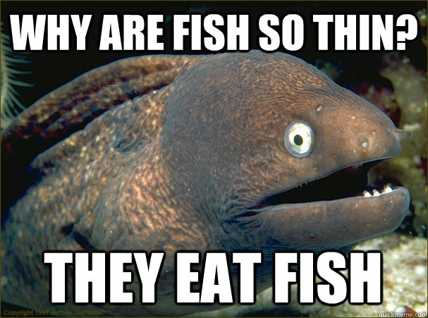 why are fish so thin? they eat fish - why are fish so thin? they eat fish  Bad Joke Eel