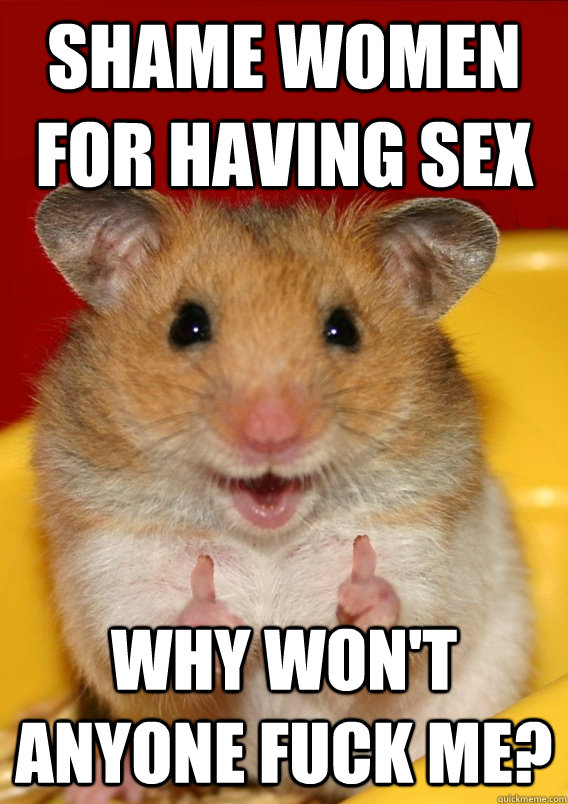 Shame women for having sex why won't anyone fuck me?   Rationalization Hamster