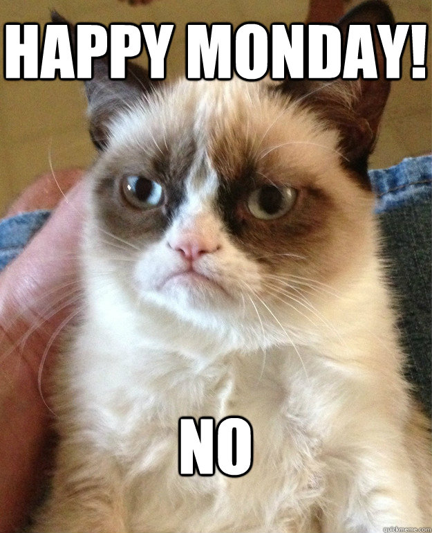 Happy Monday! NO  Grumpy Cat