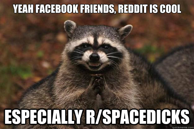 Yeah Facebook Friends, Reddit is cool Especially r/spacedicks  Evil Plotting Raccoon