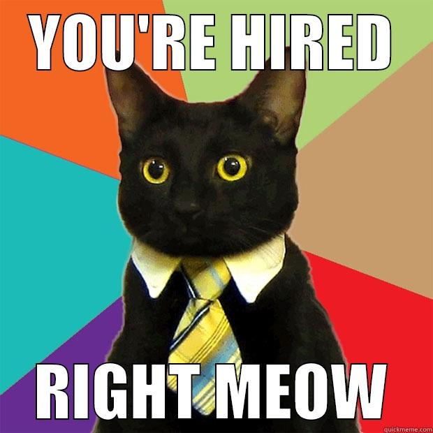 YOU'RE HIRED RIGHT MEOW Business Cat