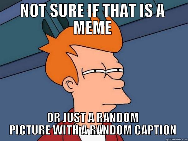 NOT SURE IF THAT IS A MEME OR JUST A RANDOM PICTURE WITH A RANDOM CAPTION Futurama Fry