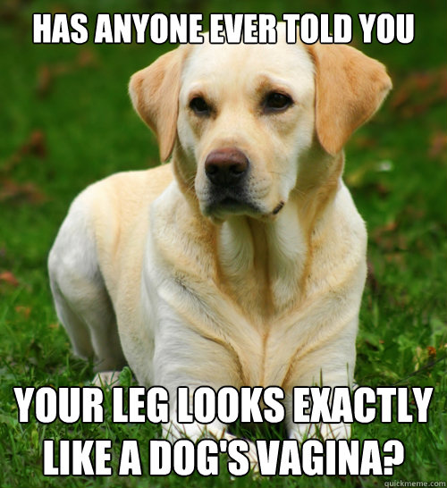 has anyone ever told you your leg looks exactly like a dog's vagina?  Dog Logic