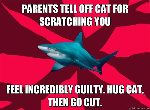 Parents tell off cat for scratching you feel incredibly guilty. hug cat, then go cut.  Self-Injury Shark