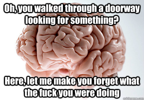 Oh, you walked through a doorway looking for something? Here, let me make you forget what the fuck you were doing   Scumbag Brain