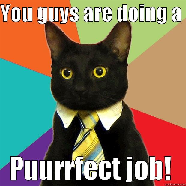 YOU GUYS ARE DOING A  PUURRFECT JOB! Business Cat