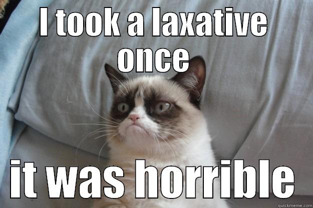 grumpy cat with laxatives - I TOOK A LAXATIVE ONCE   IT WAS HORRIBLE  Grumpy Cat