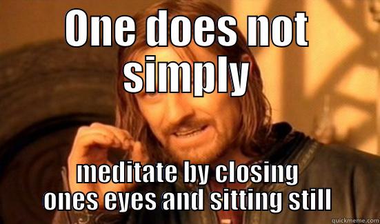 ONE DOES NOT SIMPLY MEDITATE BY CLOSING ONES EYES AND SITTING STILL Boromir