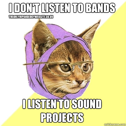 I don't listen to bands I listen to sound projects theonlyhipandedgywebsite.co.uk  Hipster Kitty