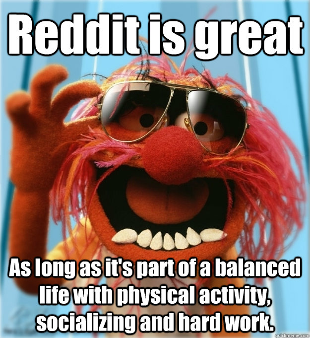 Reddit is great As long as it's part of a balanced life with physical activity, socializing and hard work.  Advice Animal