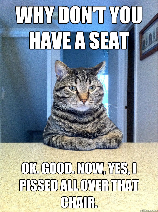 Why don't you have a seat Ok. Good. Now, yes, I pissed all over that chair.  Chris Hansen Cat