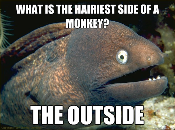 What is the hairiest side of a monkey? The outside  Bad Joke Eel