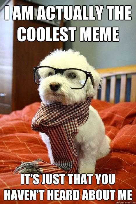 I AM ACTUALLY THE COOLEST MEME It's Just that you haven't heard about me  Hipster Dog