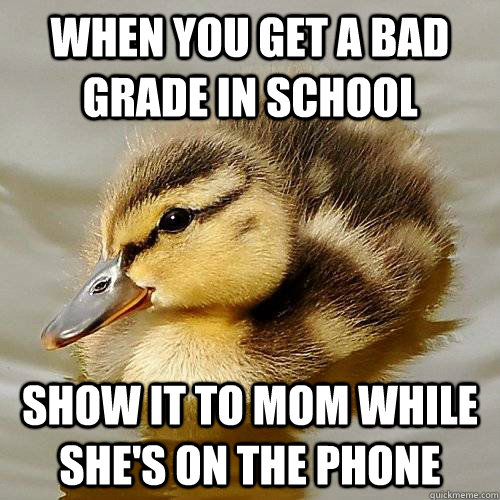 when you get a bad grade in school show it to mom while she's on the phone - when you get a bad grade in school show it to mom while she's on the phone  Actual Kids Advice Mallard