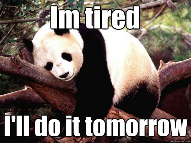 Im tired I'll do it tomorrow  Procrastination Panda