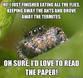 Hi! I just finished eating all the flies, keeping away the ants and drove away the termites. Oh sure, I'd love to read the paper! - Hi! I just finished eating all the flies, keeping away the ants and drove away the termites. Oh sure, I'd love to read the paper!  Misunderstood Spider
