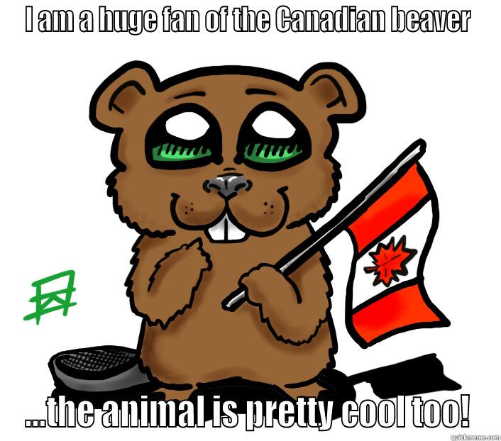 I AM A HUGE FAN OF THE CANADIAN BEAVER ...THE ANIMAL IS PRETTY COOL TOO! Misc