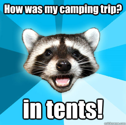 How was my camping trip? in tents!  Lame Pun Coon