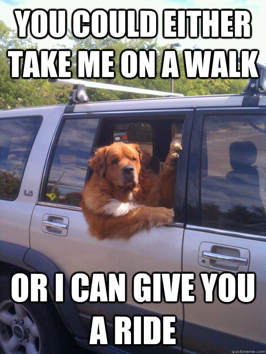 You Could Either Take Me On A Walk Or I Can Give You A Ride Misc 