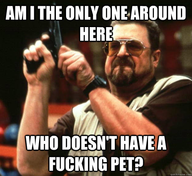 am I the only one around here who doesn't have a fucking pet?  Angry Walter