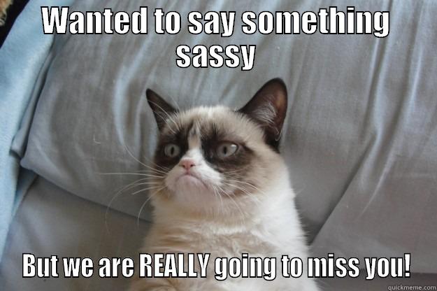 WANTED TO SAY SOMETHING SASSY BUT WE ARE REALLY GOING TO MISS YOU! Grumpy Cat