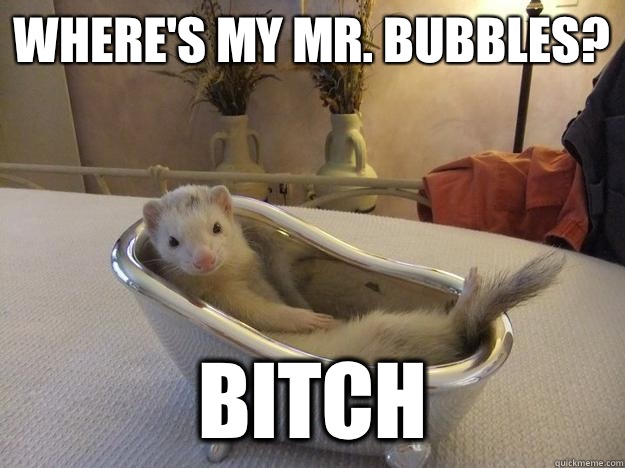 Where's my Mr. Bubbles? BITCH  Fine-living Ferret