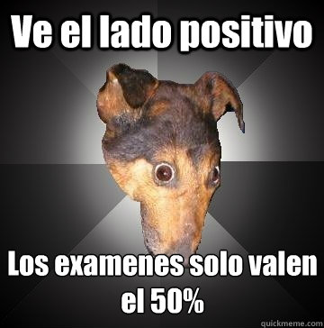 Ve el lado positivo Los examenes solo valen el 50%  Depression Dog