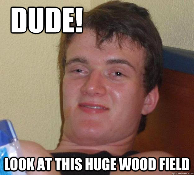 dude! Look at this huge wood field  10 Guy