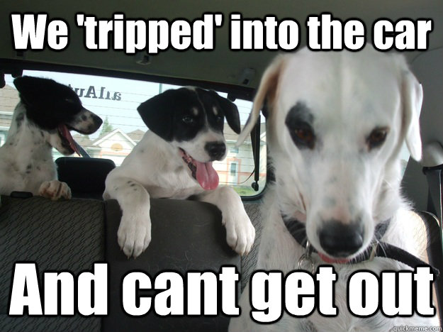 We 'tripped' into the car And cant get out - We 'tripped' into the car And cant get out  Captain dogs