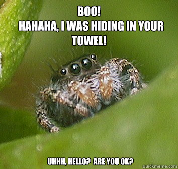 BOO!
  HAHAHA, I was hiding in your towel! 
  Uhhh, Hello?  Are you OK?  Misunderstood Spider