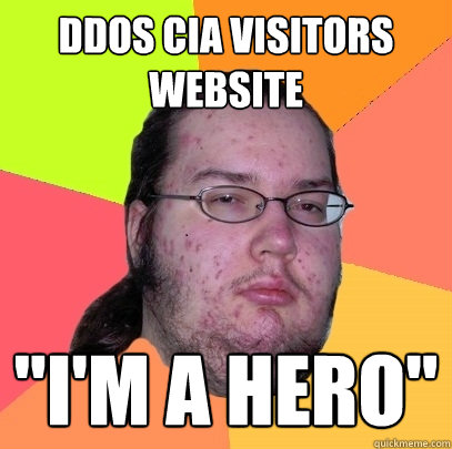 DDOS CIA visitors website 