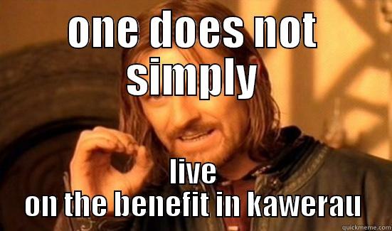 ONE DOES NOT SIMPLY LIVE ON THE BENEFIT IN KAWERAU Boromir