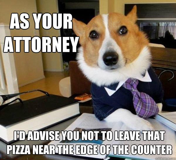 As your attorney I'd advise you not to leave that pizza near the edge of the counter  Lawyer Dog