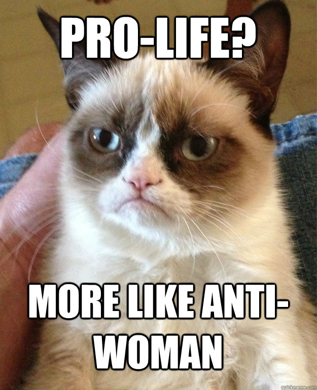 Pro-life? More like anti-woman   Grumpy Cat