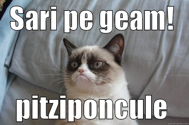 SARI PE GEAM! PITZIPONCULE Grumpy Cat