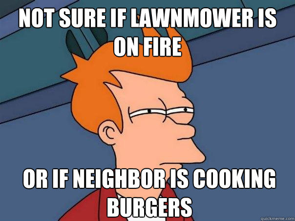 Not sure if lawnmower is on fire or if neighbor is cooking burgers  Futurama Fry