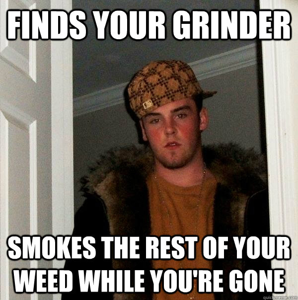 finds your grinder smokes the rest of your weed while you're gone  Scumbag Steve